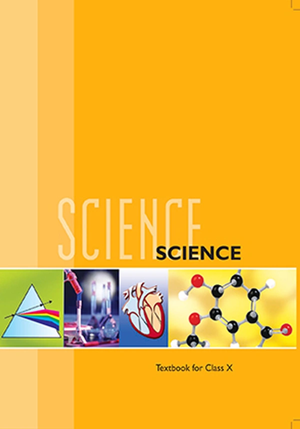 10th Class Rbse/Ncert Science Book (1064)