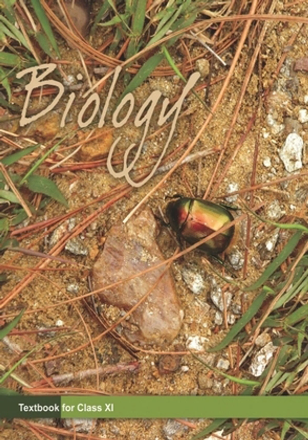 11th Class Rbse/Ncert Biology