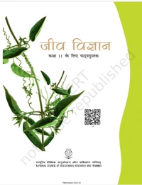 11th Class Rbse/Ncert Biology