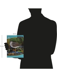Classmate | Soft Cover | Note Book For Students | 24 Cm X 18 Cm | Double Line | Two line 172 Pages