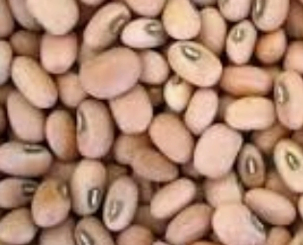 ALASANDALU.. అలసందలు - 500 g