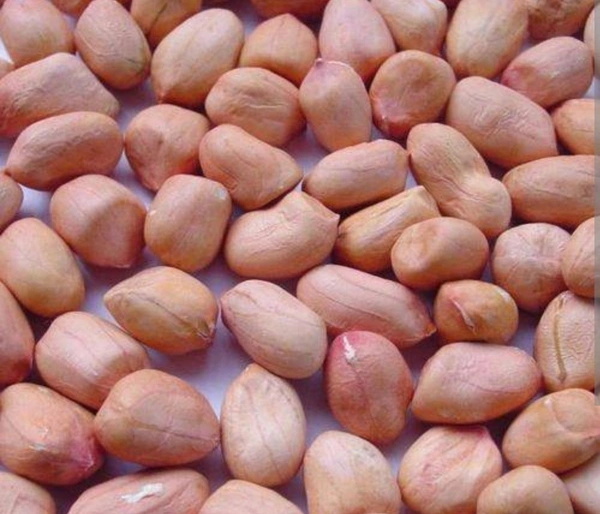 GROUNDNUTS.. వేరు శనగ గింజలు  - Kg