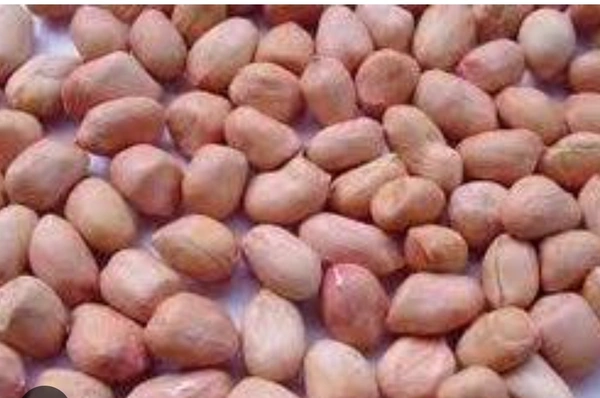 NATU GROUNDNUTS.. నాటు శనగగింజలు - 500g
