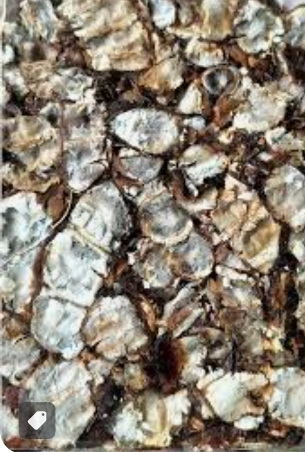 CHINTAPANDU Regular..చింతపండు రెగ్యులర్..Tamarind  - 500g