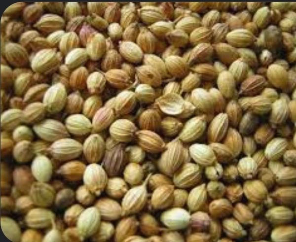 ధనియాలు..SP. DHANIYALU - 100g