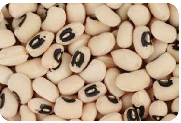 SP. తెల్ల అలసందలు 500 g..Sp.White Alasandalu 500 g