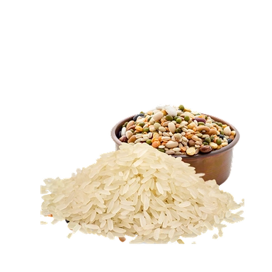 Rice