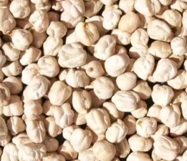SP. తెల్ల కాబులి శనగలు 500 g..SP. White Chana 500 g