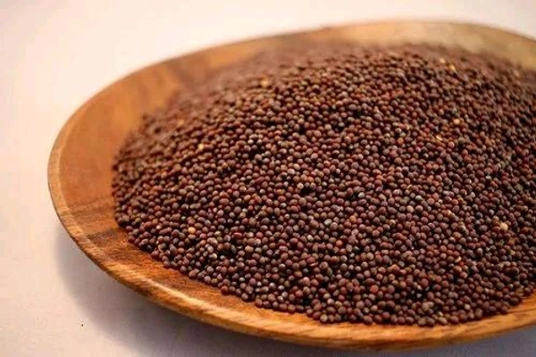 Mustard Seeds Medium (మీడియం ఆవాలు ) Aavalu | Aavaalu| Rai - 500g