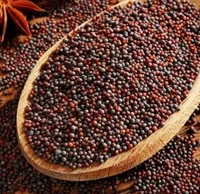 Mustard Seeds (ఆవాలు ) Aavalu | Aavaalu| Rai - kg