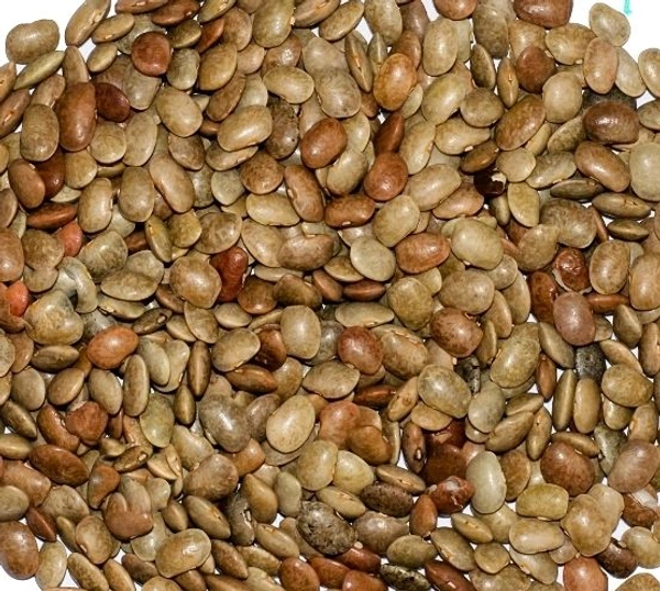 ఉలవలు..ULAVALU..HORSE GRAM - 250g