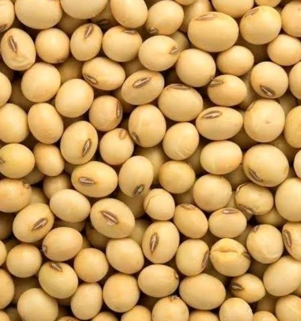 సోయా బీన్స్ 250 g.. Premium SOYA BEENS 250 g