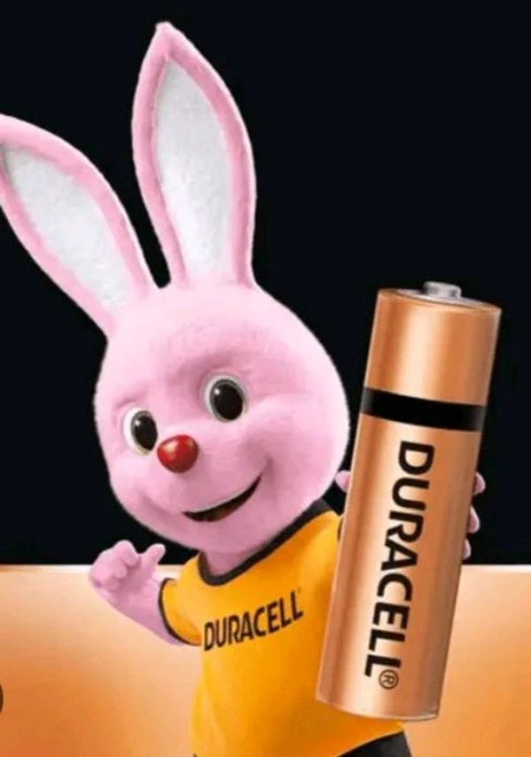Duracell Battery - AAA