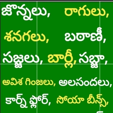 MILLETS..జొన్నలు, రాగులు,అలసందలు