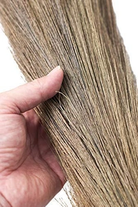 Soft Meghalaya Grass Broom Stick || Eco-Friendly || Jumbo size (Phool Jhadu, Mop) for Floor, Garden, Outdoor Cleaning Natural and Pure Bamboo Seek Coconut Jhadu/Brooms (Multicolour - Assorted) - 4, FOOL-JHADU