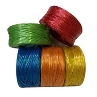 IGNOTO Plastic Binding Rope Roll for Home/Garden and Commercial Use || Assorted Color || Sutli Dori Thread Cord Twine String Role Bundle For Packaging Boxes, Diy, Tie Plants, Craft) - 20