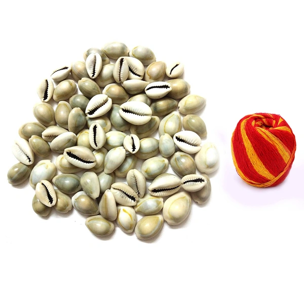 Natural Kawdi / Kaudi / Sea shell for Laxmi / Kuber and Diwali Pooja (Pack of 108 Pieces + Free 1 Pooja Kalawa Shuddh Dhaga)