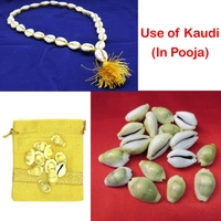 Natural Kawdi / Kaudi / Sea shell for Laxmi / Kuber and Diwali Pooja (Pack of 108 Pieces + Free 1 Pooja Kalawa Shuddh Dhaga)