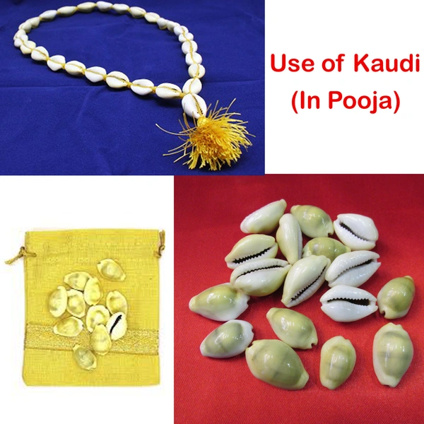 Natural Kawdi / Kaudi / Sea shell for Laxmi / Kuber and Diwali Pooja (Pack of 108 Pieces + Free 1 Pooja Kalawa Shuddh Dhaga)