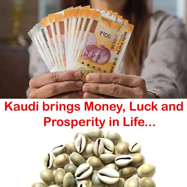 Natural Kawdi / Kaudi / Sea shell for Laxmi / Kuber and Diwali Pooja (Pack of 108 Pieces + Free 1 Pooja Kalawa Shuddh Dhaga)
