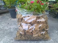 Pure Mustard Cake Fertilizer for Plants and Home Garden (Sarso ki Khali) 100% Organic Pure Khali For Gardening Healthy Naturally Growth Plant - 500 Gram