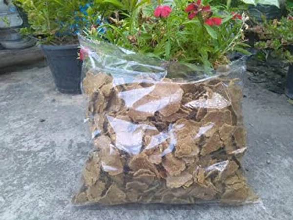 Pure Mustard Cake Fertilizer for Plants and Home Garden (Sarso ki Khali) 100% Organic Pure Khali For Gardening Healthy Naturally Growth Plant - 500 Gram