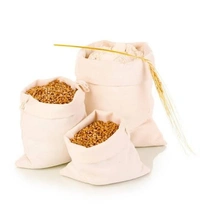 Bansi Wheat Aata - 2 KG