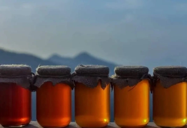 Raw Honey: A Natural Superfood - 1Kg