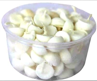 Zedblack Samarpan Ghee Diya Wicks (30pcs)