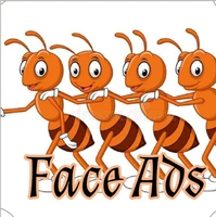 Springbok Store - Logo