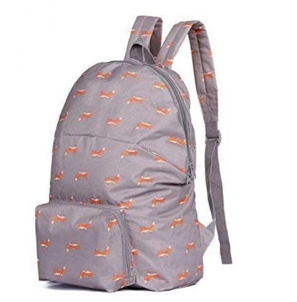Foldable College Bag