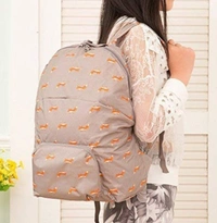 Foldable College Bag