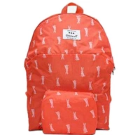 Foldable College Bag