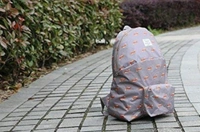 Foldable College Bag