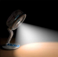 FOLDING FAN LR