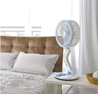 FOLDING FAN LR