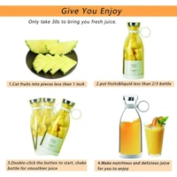 Mini Bottle Juicer 