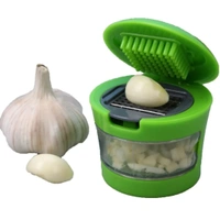 Kitchen Garlic Cutter/Chopper/Crusher (Green, 1 pcs)