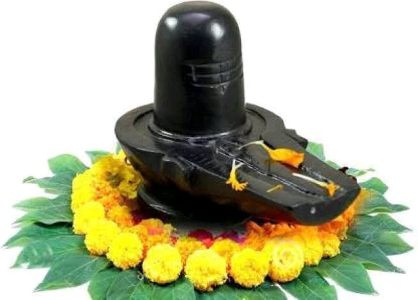 HOLYMONT99  Pure Black Marvel Shivling all Size Available  - Large