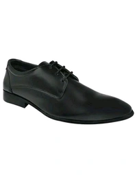 Ajanta Men Formal Shoes with Lace-Up Derby Shoes,Perfect for Formal,Business & Parties Mo 0.2 - IND-6 (Size: 24.1 cm)