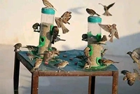 Trendy Bird Feeders 2 Pieces Green