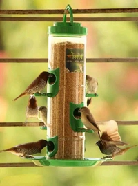 Trendy Bird Feeders 2 Pieces Green