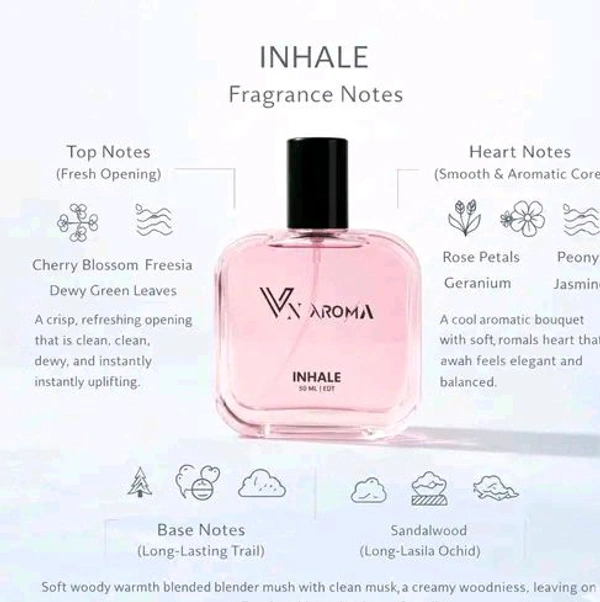 VN AROMA Combo Pack of 2 Inhale ? The Lost | Long Lasting |Premium Luxury Perfume Eau de Toilette - 100 ml