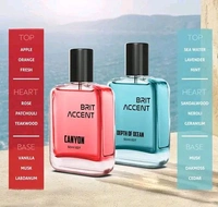 BRIT ACCENT Combo Pack Of 2|Depth Of Ocean-Canyon|Parfum|Long-Lasting|Specially Currated| Eau de Toilette - 100 ml (For Men & Women)