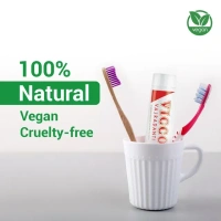 Vicco Vajradanti Ayurvedic Toothpaste 100 g