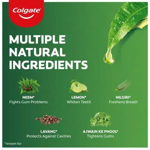 Colgate Active Salt Neem Toothpaste - 100 g