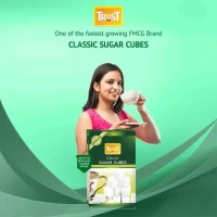 Trust Classic Sugar Cubes 500 g
