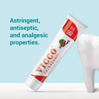Vicco Vajradanti Ayurvedic Toothpaste 100 g