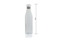 Plastic Water Bottles (1000 ml, Set of 3) (Transparent)