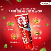 Patanjali Dant Kanti Fresh Active Gel Toothpaste 300 g